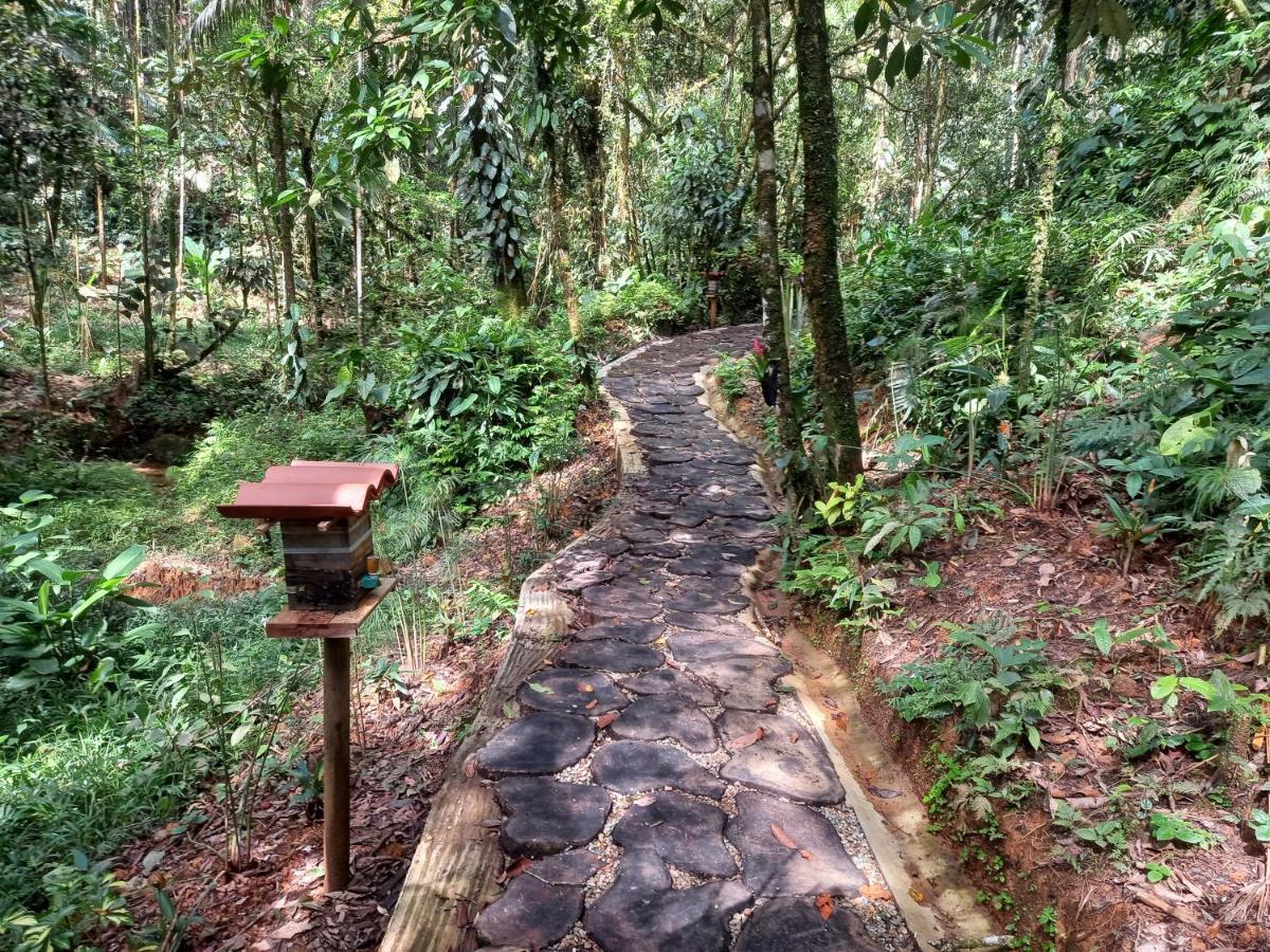 Eco Hotel Rio De Oro San Rafael  Buitenkant foto